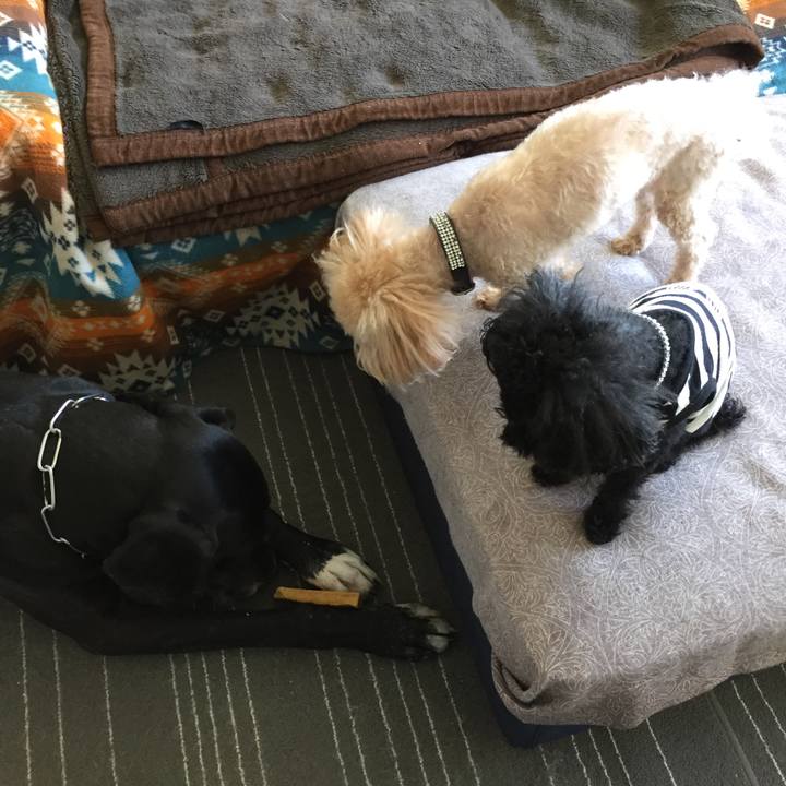 1324ea15 3c82 4f39 8eb8 7704126f1ae1