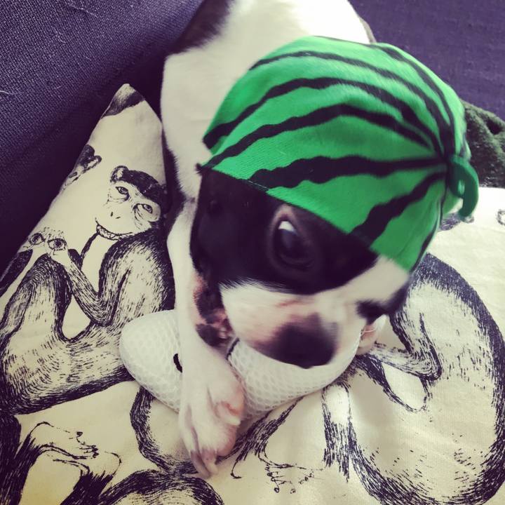 1326ac35 351b 4ca9 a7ae cbf809b6f157