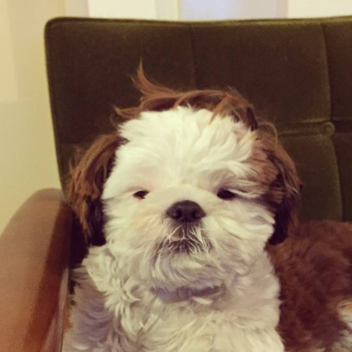 1326aee6 e62f 4e76 8c6c 263e6a522195