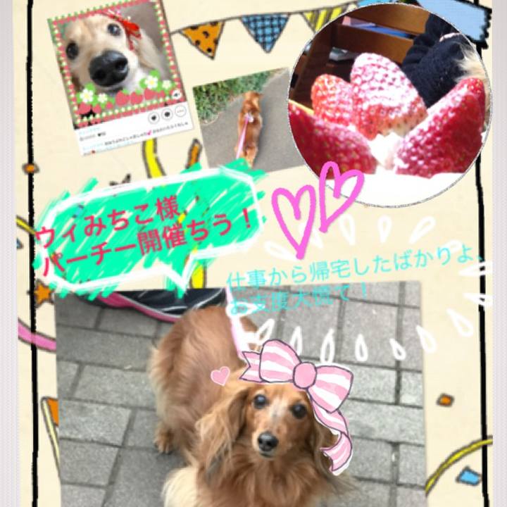 1326b857 6f8f 4e61 b77a ca03e5b0cb93