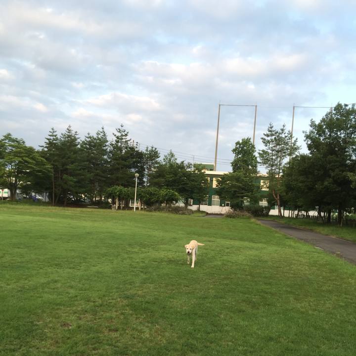 1326eb2a 63a7 4b61 9b49 6842eb7f5e6b