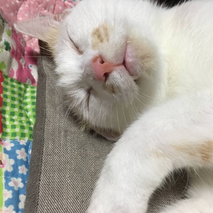 1326fbf1 3cc2 41d8 bdae 350b77e98f2f