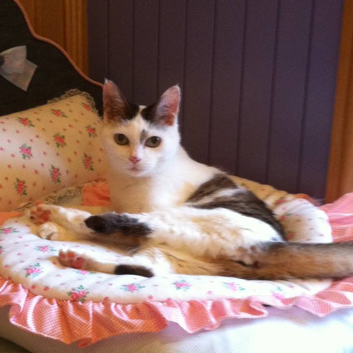 13271e5f 43e0 4478 b06b 73ca073db5bf