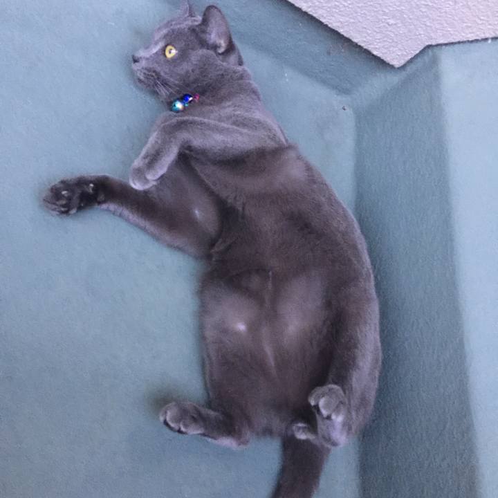 1327400d 8faf 441a 9eac 074f72b0face