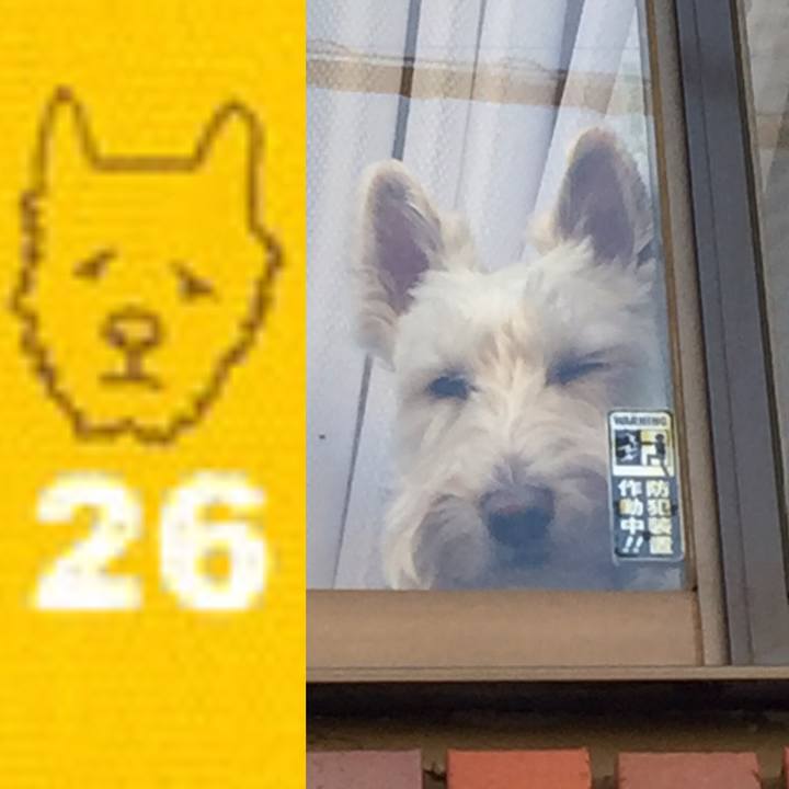 132749df 1089 42f6 82af 4516ece335e8