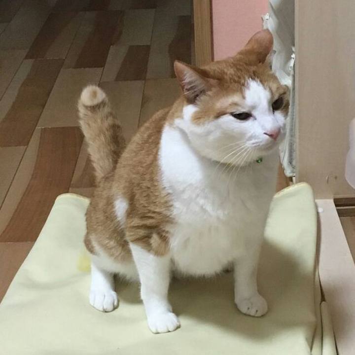 13275841 12de 4861 af37 6127b5469c18