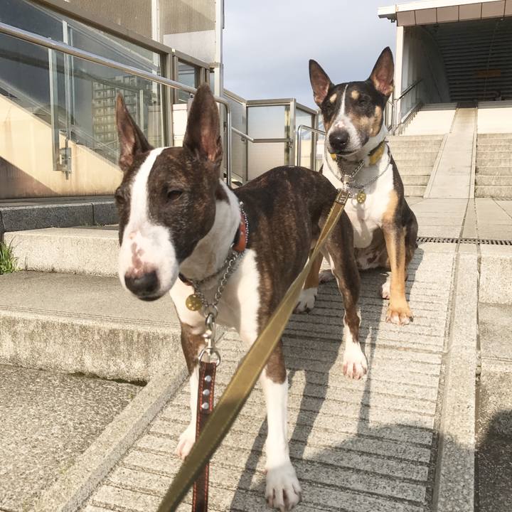 13277399 fac1 462c 9eea cf4ac53d03a1