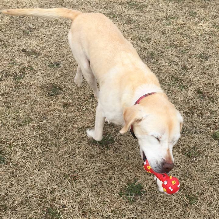 132807be 3016 466d 8bc5 2a5d4a648496