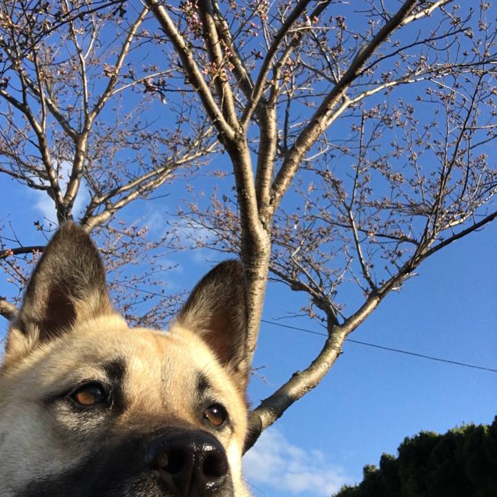 1328304e c6fd 43f8 a251 7a1dba819dcd