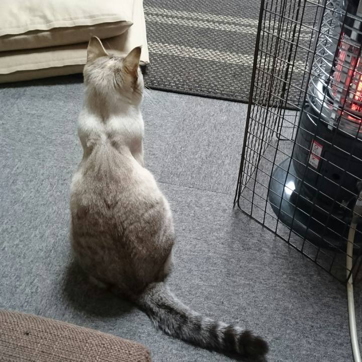 13288e91 2f4e 46f8 8b92 184d8c2774d4