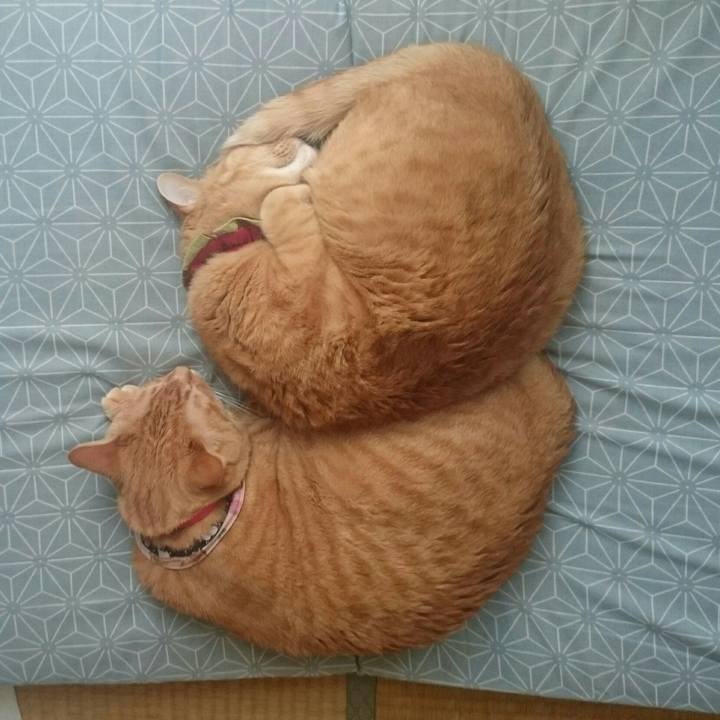 13296acd 3f6f 4bd5 a335 4b9ec04ada73