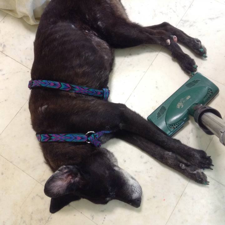 1329793b 3c90 4525 b6a0 337e3889c16b