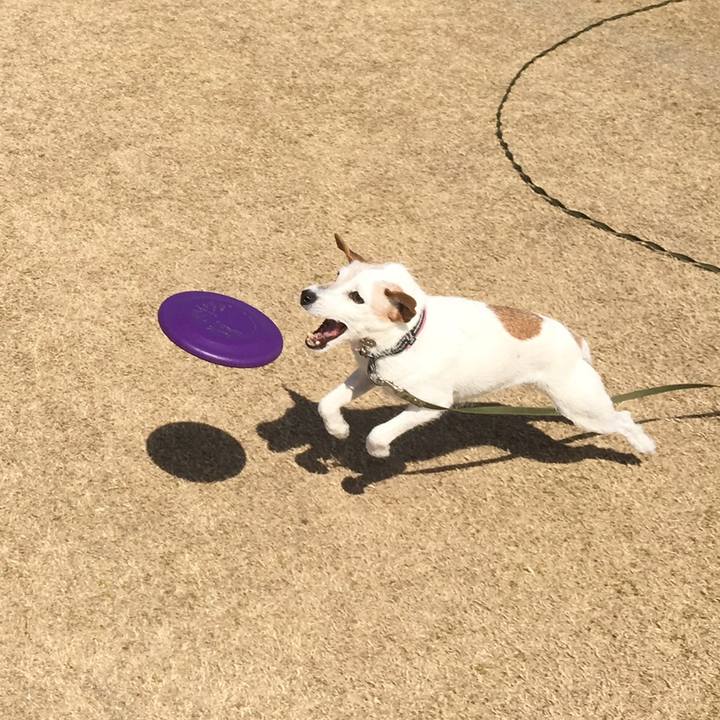 1329f26f f6e4 4868 9a32 aee380f9be3e