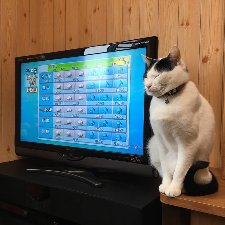 1329fb57 f041 4101 bef2 10090355fad4