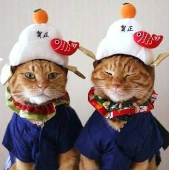 132a1a36 403c 43cf a4b2 d4bcba7b30be