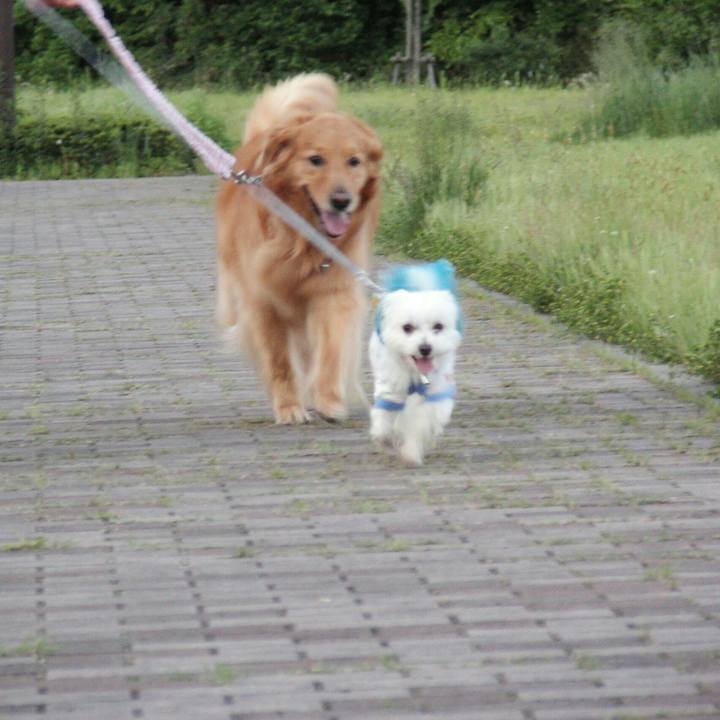 132a613a 570c 4f7f aac0 f425de15c213