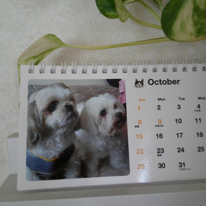 132afa59 331a 4a56 88b5 2d47db6696e4