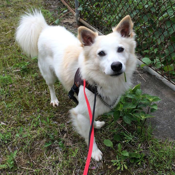 132bb22d 614b 4046 9401 875809f96d48