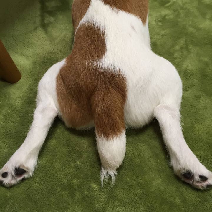 132c088d 2d4d 4069 b380 b4c1387ede98