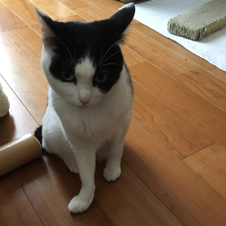 132c7af0 6094 4f65 8c42 70ca44274c25