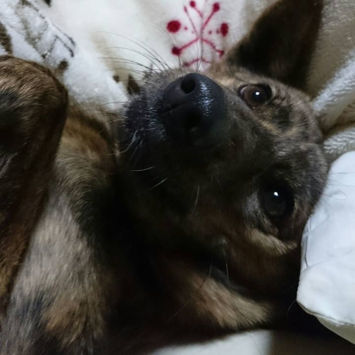 132c7e07 f23c 4328 a1ec 24bb21e6a280