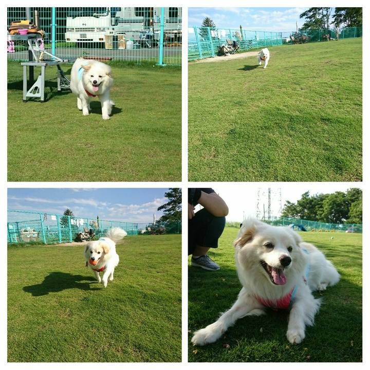 132c9191 8e7b 4b48 b596 98f3c09f7eba