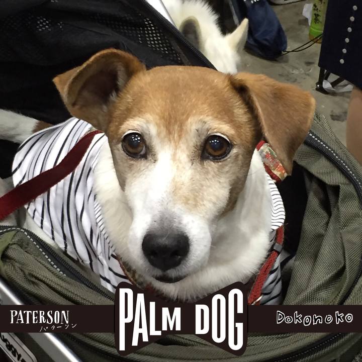 132ca66f 7f4e 4975 8b26 1140b44d0153