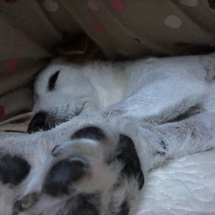 132d0fb9 3260 4f17 9426 3ef1d381251a