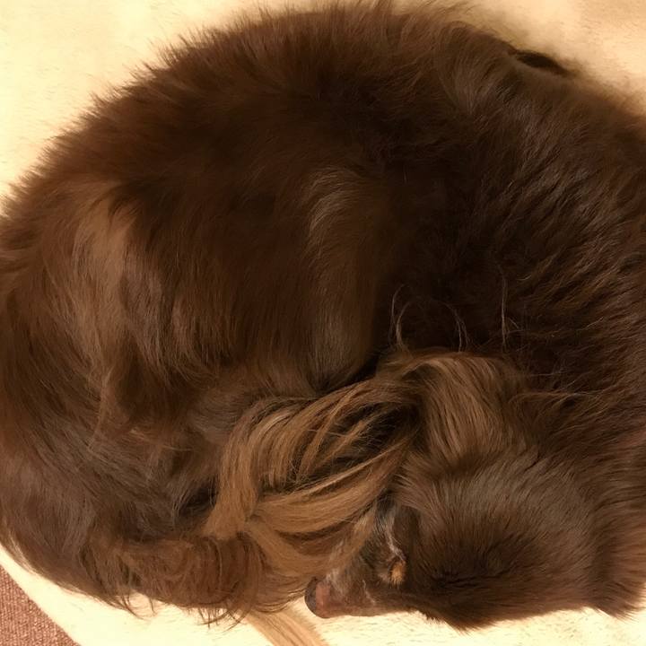 132dfb8f bd1a 4bcc adee 4b48aa1edf07