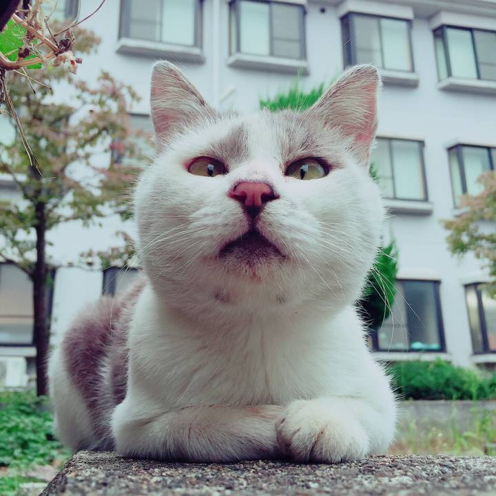 132f27bd 2d80 4e6d b09b 6f77dec477f8