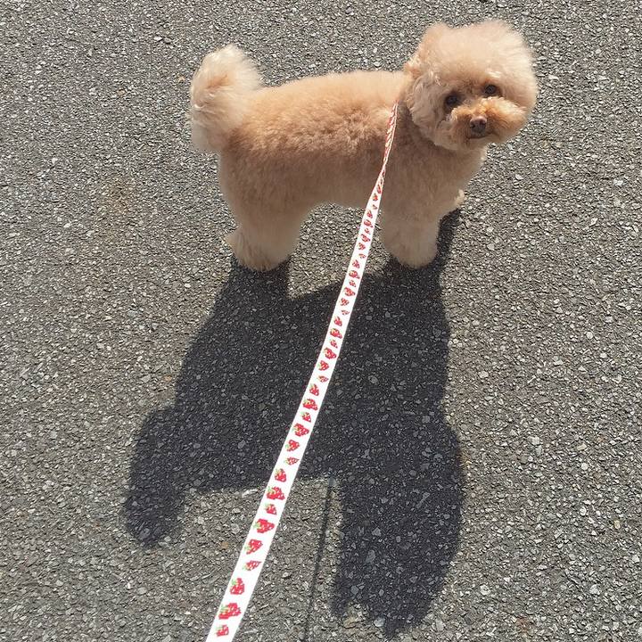 132f684f f41e 48a1 8fe2 62ec53dff6a7