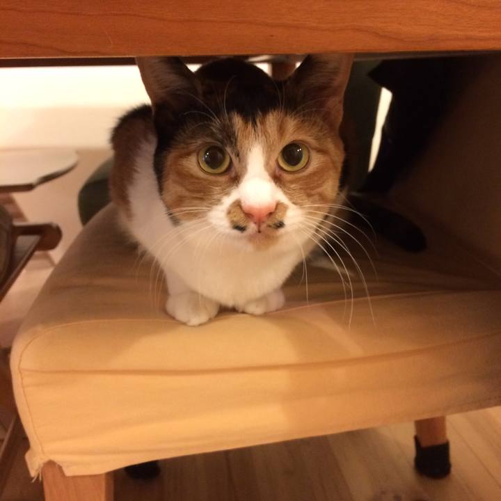 132f68bb 7c03 4e7b ab65 fed8a666fd9a