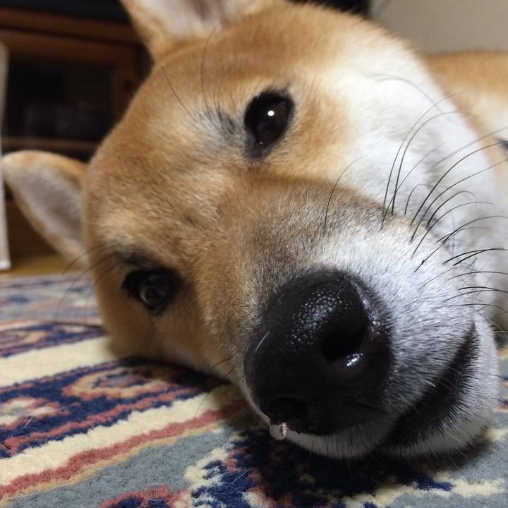 132fa609 49cc 49b3 8f90 29c873fa65db