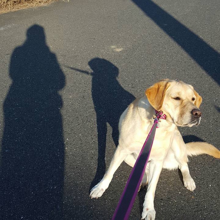 1331a78e 8b1c 413e 8ec4 d69b7fe445d2