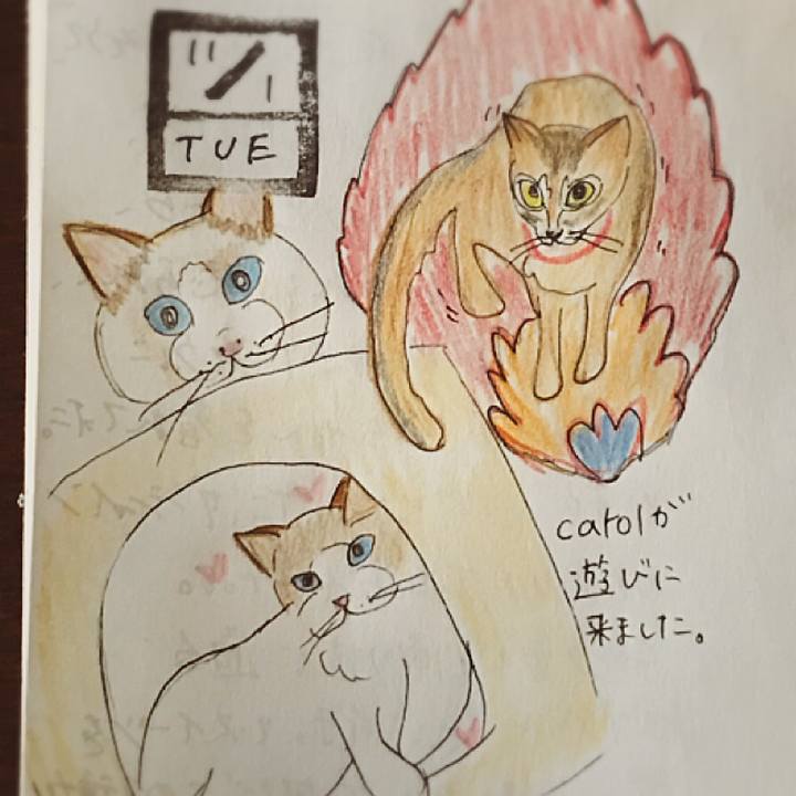 1331b9e9 1dd1 4421 af5d bcd51ed2037a