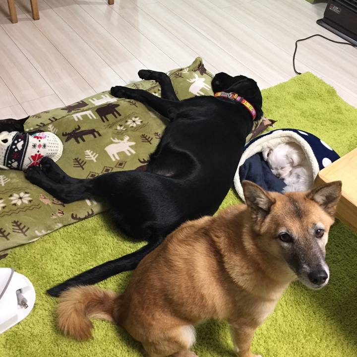 133237bf c0fc 4ec0 99fe c568900238aa