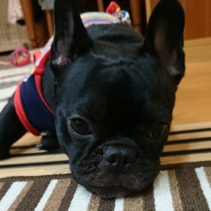 133256d9 308d 4853 9e7f 5b43b3a31556