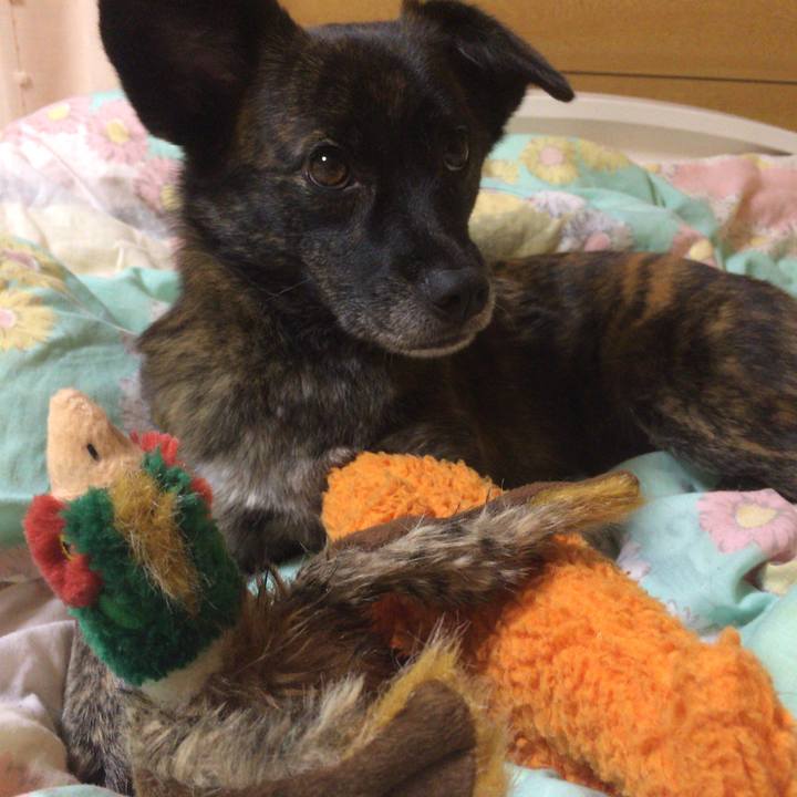 13325bcf 5f00 4218 adeb 63b348125e12