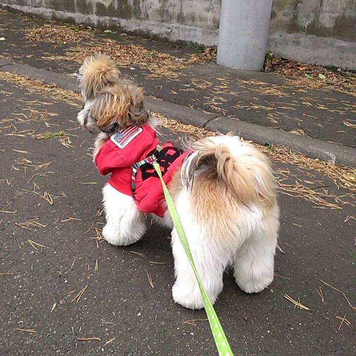 13328bef 4672 4f88 9be2 6156fc40ce9f