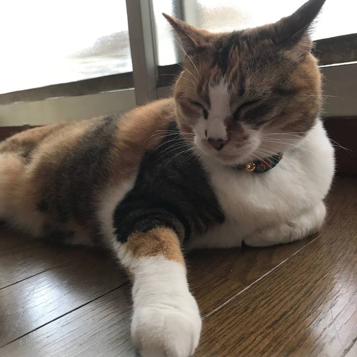 1332b726 2d76 4f47 b5c8 21258f65cdac