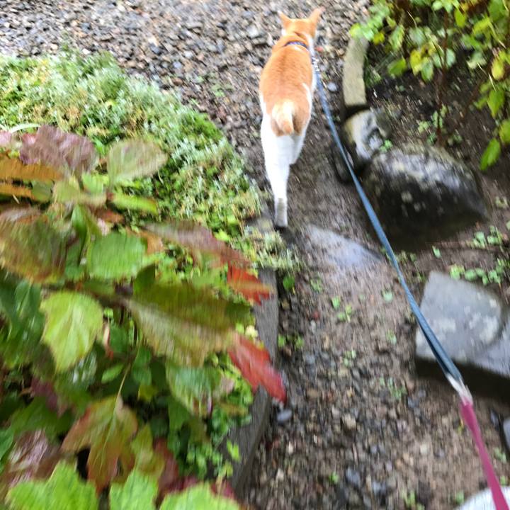 13330c1a 2548 4f89 b68c caa342198356