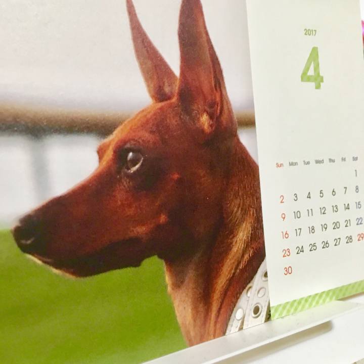 13334095 5985 4591 8d62 9eb9f83bebf0