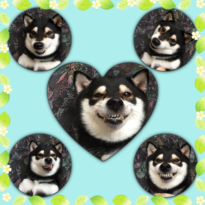 1333ce15 7172 4d03 ba16 2ba939124a3e