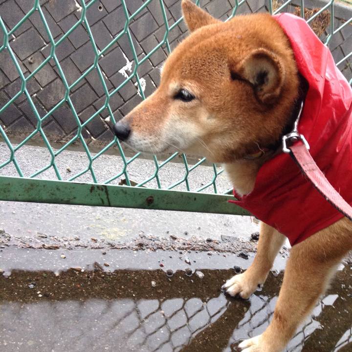 133575d8 718e 43fd 8f25 11ecceb98109