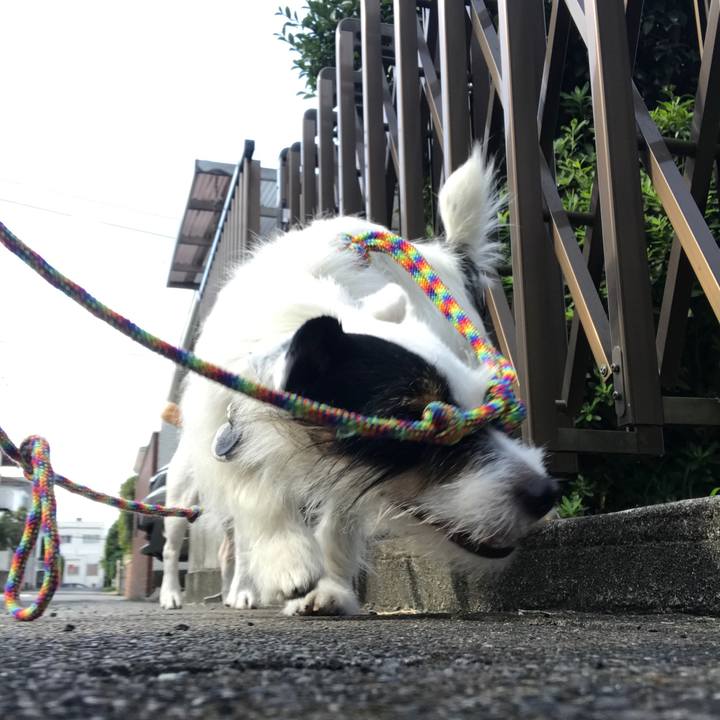 1335d57f cd1e 4925 973b 3b2550b62885