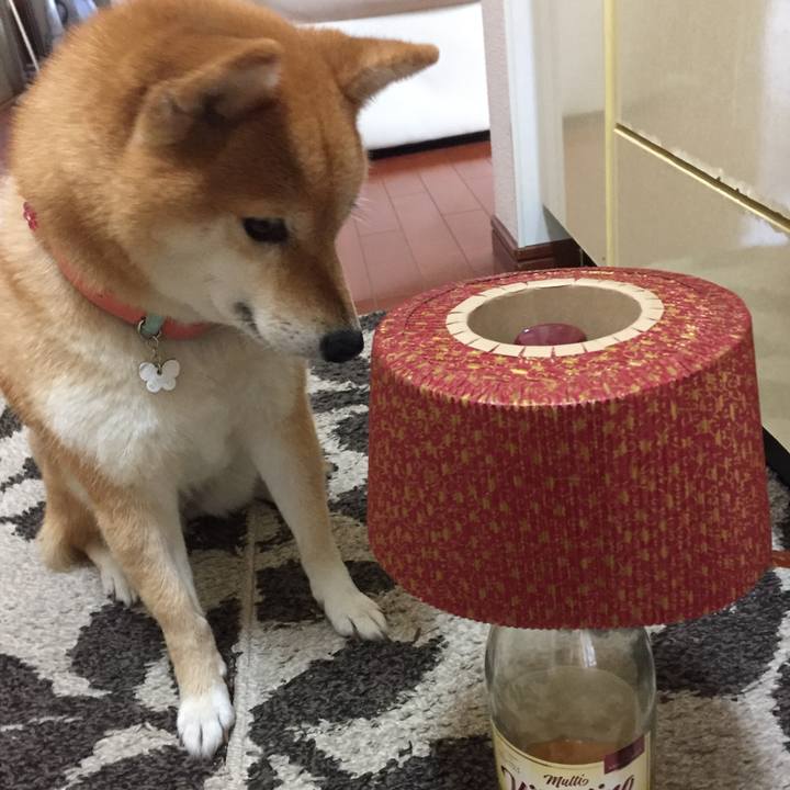 1335da4c bee5 4d7d acee c96879273822