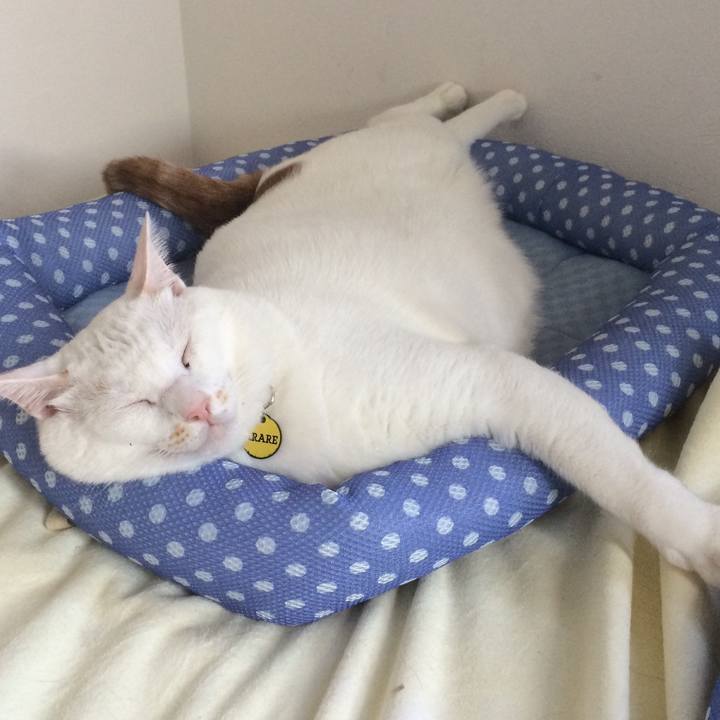 13369f05 3c56 4d90 9aa5 0c56dd71a3fa