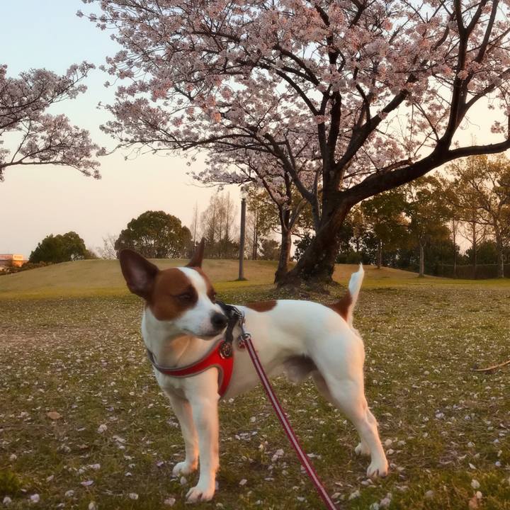 1336f4ce 27d1 4df5 912f 0662006ac61d