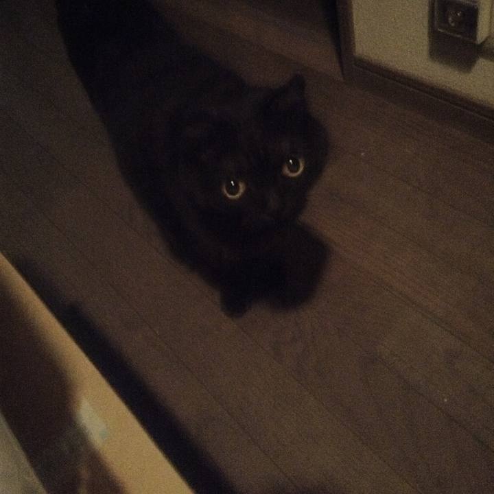 13372241 d5c9 4b52 bd98 0f88f100c324