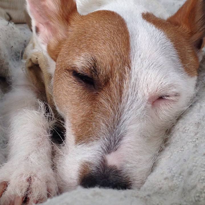 13372e3d ae32 4ce7 9215 5d28fe131278